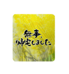 熨斗〜大きくて見やすい手書き筆文字〜（個別スタンプ：34）