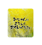 熨斗〜大きくて見やすい手書き筆文字〜（個別スタンプ：39）