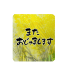熨斗〜大きくて見やすい手書き筆文字〜（個別スタンプ：40）