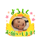 わかうらはるきのスタンプ（個別スタンプ：2）