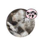 リリーとレオのスタンプ^_^（個別スタンプ：12）