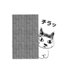 板橋NEKOコラボS（個別スタンプ：5）