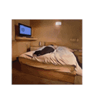 船橋ナイト（個別スタンプ：31）