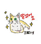 うちの猫と韓国語（日本語訳あり）修正版（個別スタンプ：1）