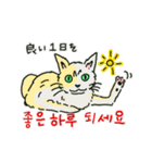 うちの猫と韓国語（日本語訳あり）修正版（個別スタンプ：2）