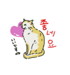 うちの猫と韓国語（日本語訳あり）修正版（個別スタンプ：4）