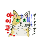 うちの猫と韓国語（日本語訳あり）修正版（個別スタンプ：5）