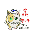 うちの猫と韓国語（日本語訳あり）修正版（個別スタンプ：6）