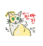 うちの猫と韓国語（日本語訳あり）修正版（個別スタンプ：11）