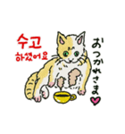 うちの猫と韓国語（日本語訳あり）修正版（個別スタンプ：12）