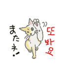 うちの猫と韓国語（日本語訳あり）修正版（個別スタンプ：15）