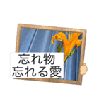 沖縄からのプレゼント。クワンソウ 能勢（個別スタンプ：14）