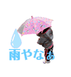 來茉10（個別スタンプ：2）