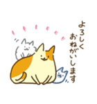 ねこだし、あまり動かない（個別スタンプ：4）