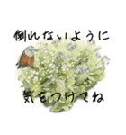 優しい色の水彩の花とポジティブな言葉（個別スタンプ：13）