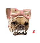 むぎちと愉快な仲間達3(敬語ver)（個別スタンプ：1）