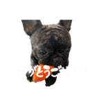 むぎちと愉快な仲間達3(敬語ver)（個別スタンプ：6）