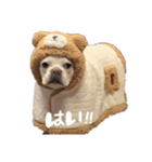 むぎちと愉快な仲間達3(敬語ver)（個別スタンプ：8）