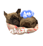 むぎちと愉快な仲間達3(敬語ver)（個別スタンプ：10）
