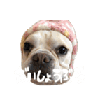 むぎちと愉快な仲間達3(敬語ver)（個別スタンプ：16）