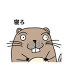 うざいビーバーVol.1（2がでることはない）（個別スタンプ：12）