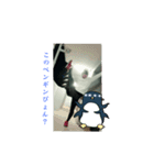 かわさんクソコラスタン部‪α‬2.11（個別スタンプ：5）