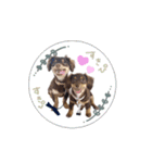 ♡チワックスのテテ氏とティムたん（個別スタンプ：1）