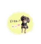 ♡チワックスのテテ氏とティムたん（個別スタンプ：16）
