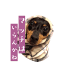 ナナのスタンプ その1（個別スタンプ：4）