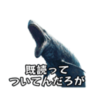 ⚫モササウルス～海の王者の逆襲～（個別スタンプ：27）