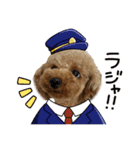 トイプ ポアロ3（個別スタンプ：6）