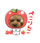 トイプ ポアロ3（個別スタンプ：7）