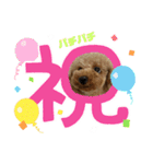 トイプ ポアロ3（個別スタンプ：9）