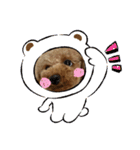 トイプ ポアロ3（個別スタンプ：14）