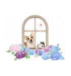 PONZ 3rd コーギーぽんずのスタンプ -Rev-（個別スタンプ：25）