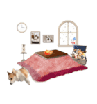 PONZ 3rd コーギーぽんずのスタンプ -Rev-（個別スタンプ：30）