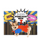 PONZ 3rd コーギーぽんずのスタンプ -Rev-（個別スタンプ：35）