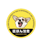 PONZ 3rd コーギーぽんずのスタンプ -Rev-（個別スタンプ：38）
