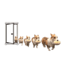 PONZ 3rd コーギーぽんずのスタンプ -Rev-（個別スタンプ：39）