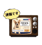 PONZ 3rd コーギーぽんずのスタンプ -Rev-（個別スタンプ：40）