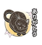 黒猫と月（個別スタンプ：7）