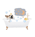 PONZ 4th コーギーぽんずのスタンプ -Rev-（個別スタンプ：6）