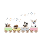 PONZ 4th コーギーぽんずのスタンプ -Rev-（個別スタンプ：8）