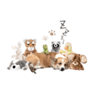 PONZ 4th コーギーぽんずのスタンプ -Rev-（個別スタンプ：16）