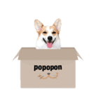 PONZ 4th コーギーぽんずのスタンプ -Rev-（個別スタンプ：35）