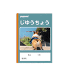 PONZ 4th コーギーぽんずのスタンプ -Rev-（個別スタンプ：37）