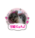 PURA Love（個別スタンプ：5）