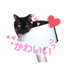ねこちゃんたち♡（個別スタンプ：30）