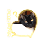 ねこちゃんたち♡（個別スタンプ：32）