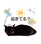 ねこちゃんたち♡（個別スタンプ：38）